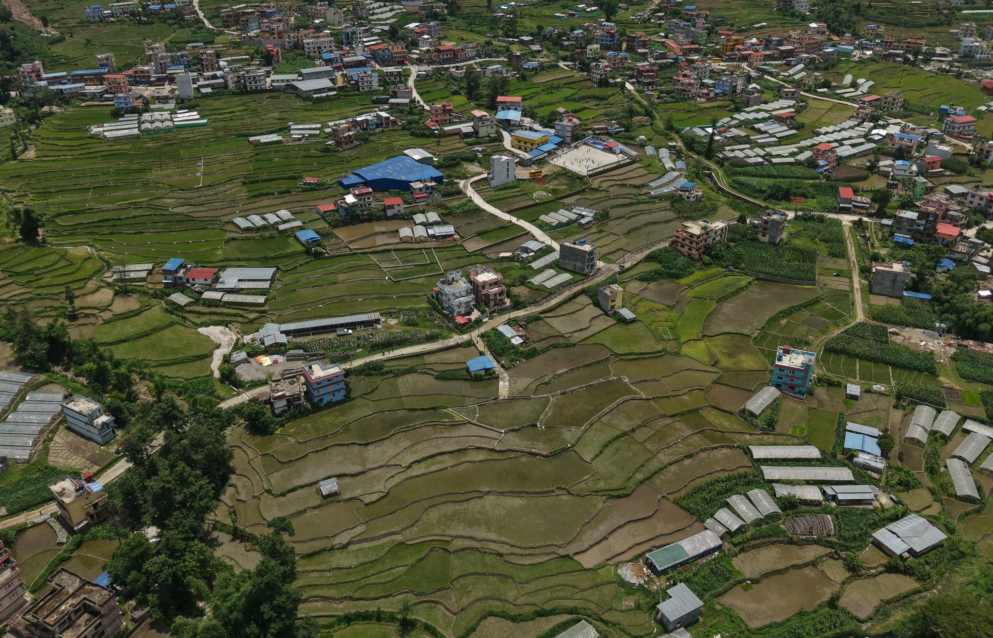 Village_NPL_-757-1751695974.jpg