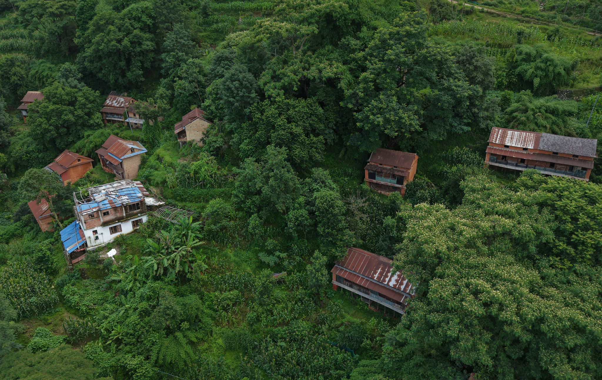 Village_NPL_-762-1751695976.jpg