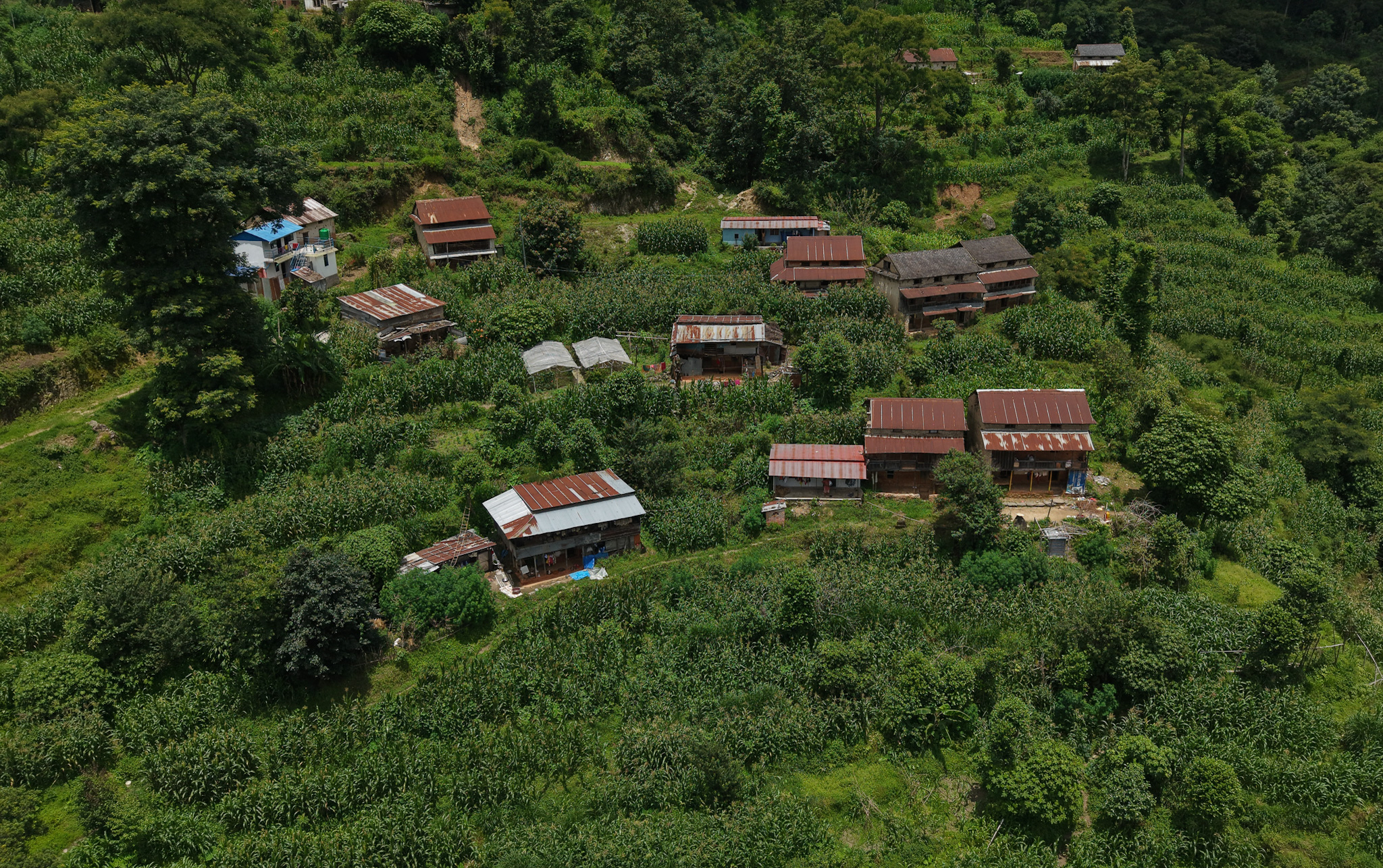 Village_NPL_-763-1751695983.jpg