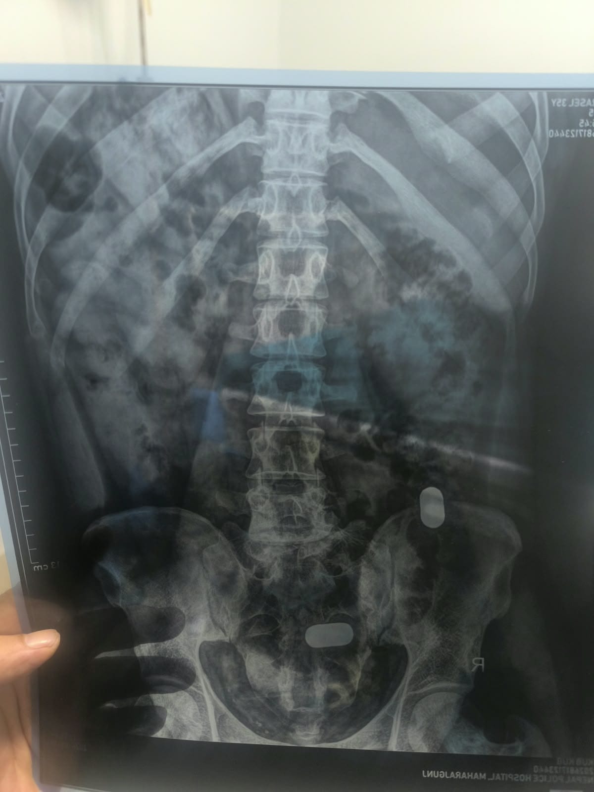 WhatsApp-Image-2026-08-21-at-17.01.20-1787311826.jpeg