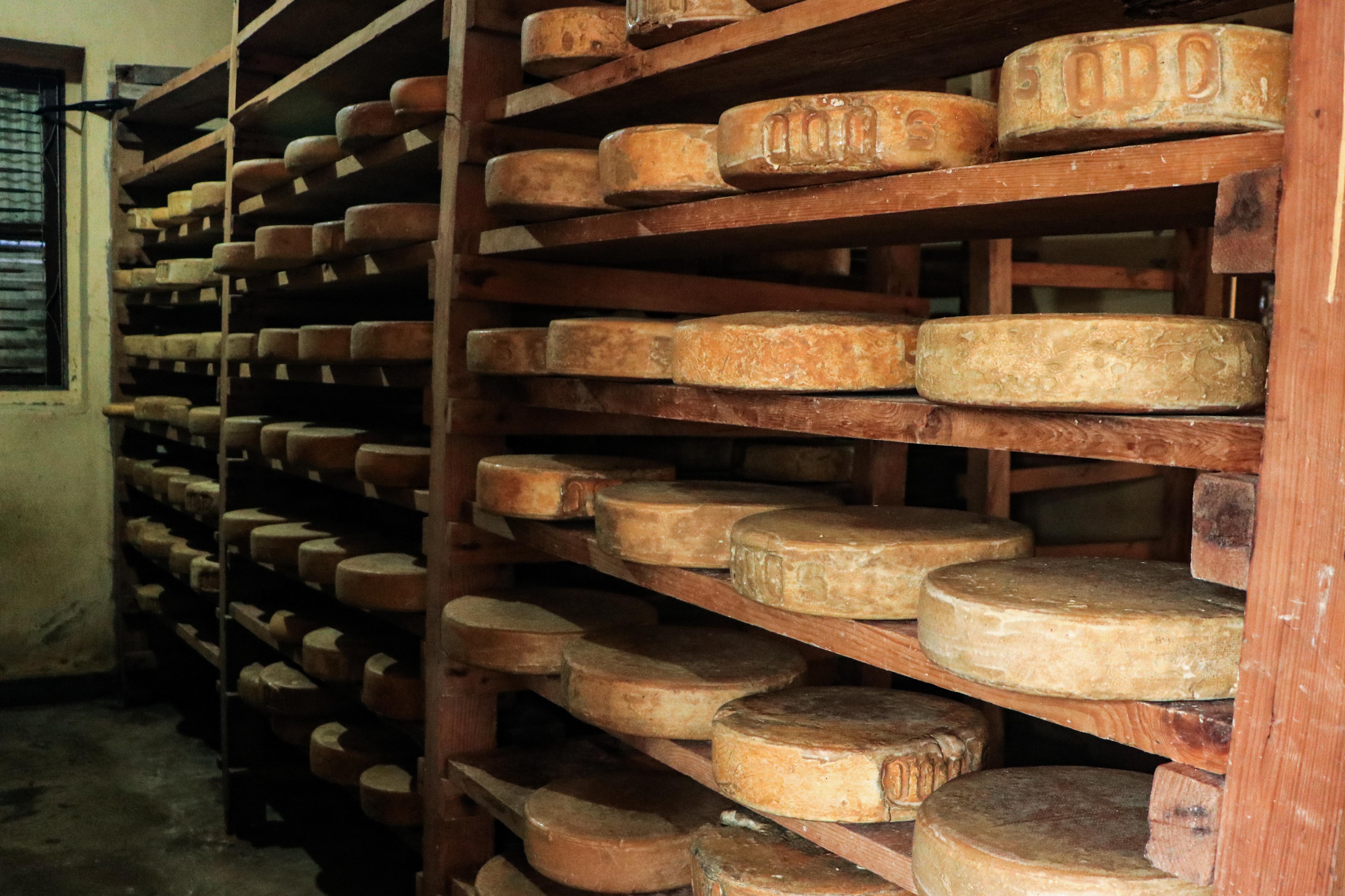 Yak-Cheese-Langtang_-1824-1781322726.jpg