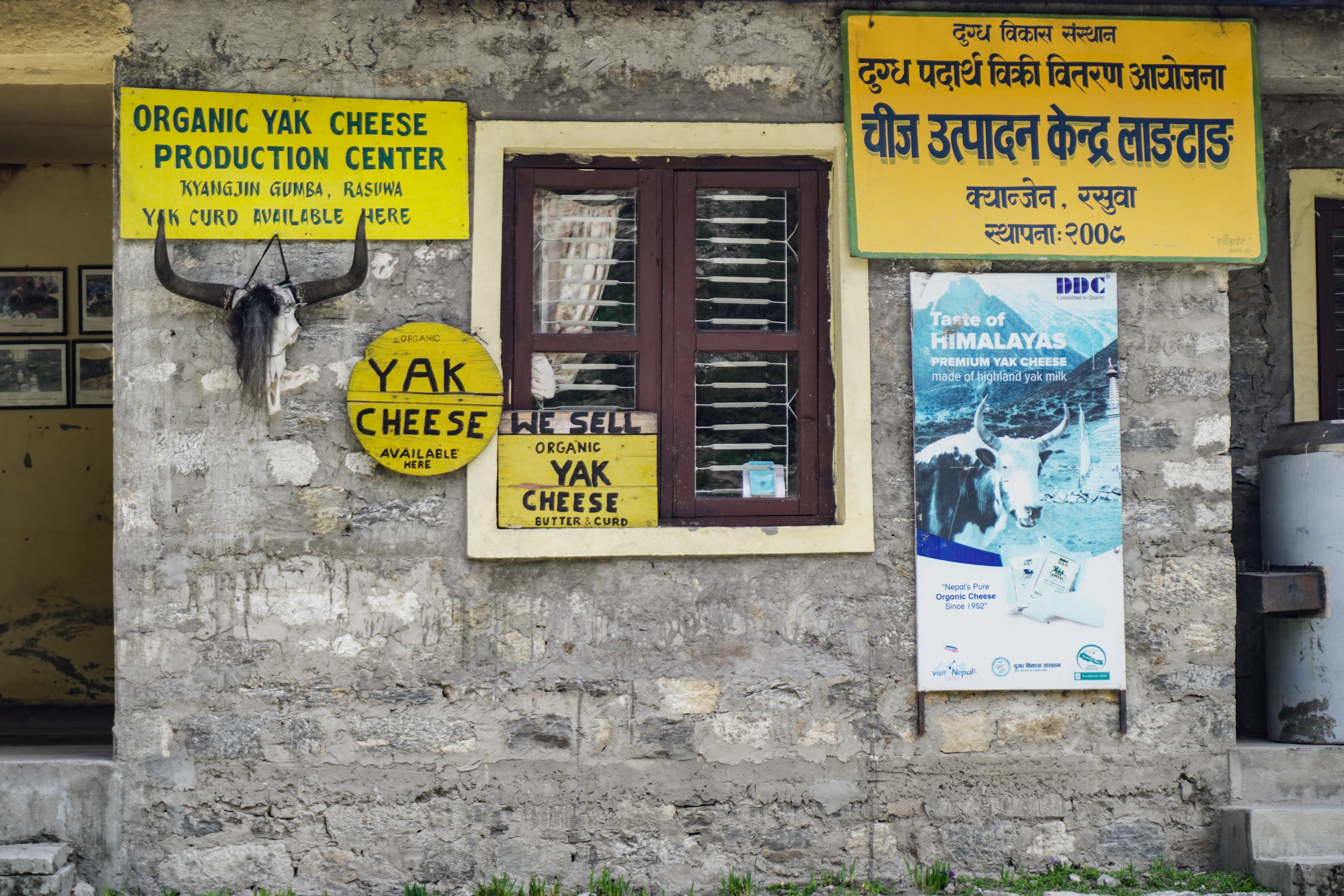 Yak-Cheese-Langtang_-1838-(1)-1781322702.jpg