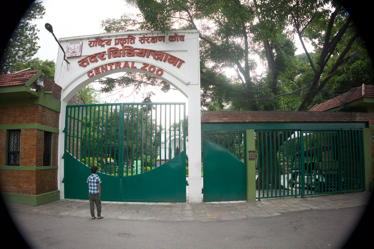 जावलाखेलस्थित सदर चिडियाखानामा बर्डफ्लू देखिएपछि बन्द (तस्बिरहरु)