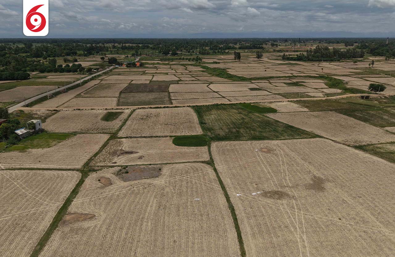 banjokhet_sidhakura10-1753590251.jpg