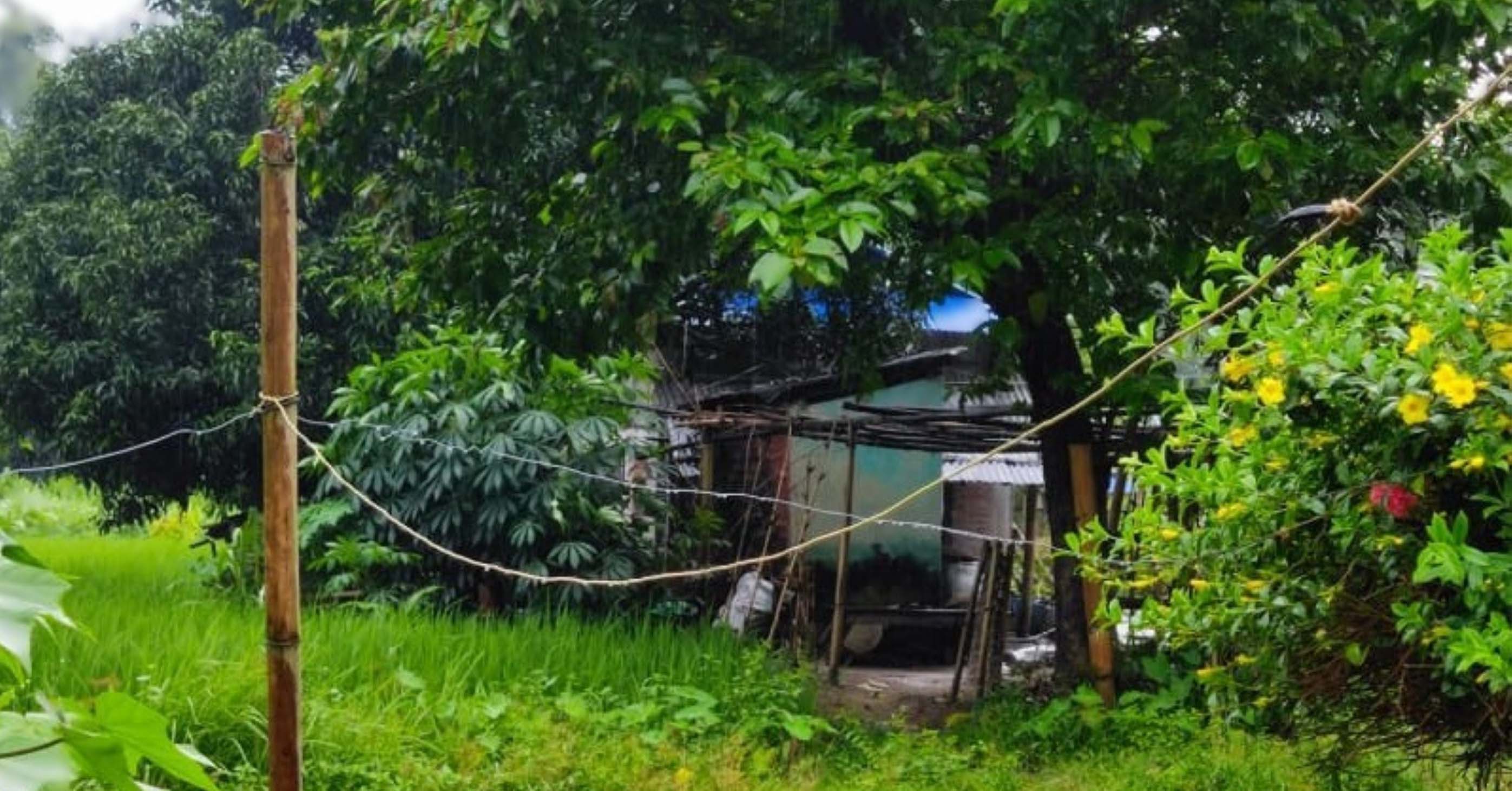 हात्ती धपाउन जोखिम मोलेर विद्युतीय घेराबारा