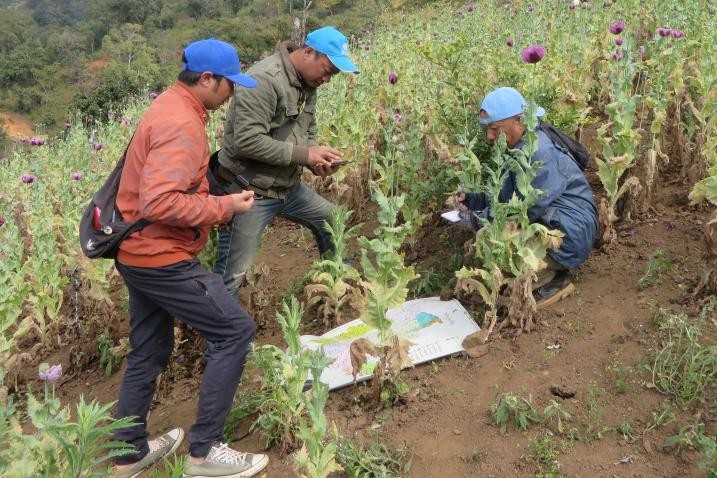 crop-monitoring-myanmar_717x478px-1782445276.jpg