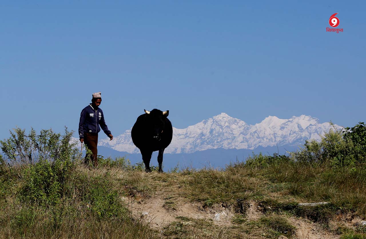 farmerwithmountain_sidhakura-1760504193.jpg