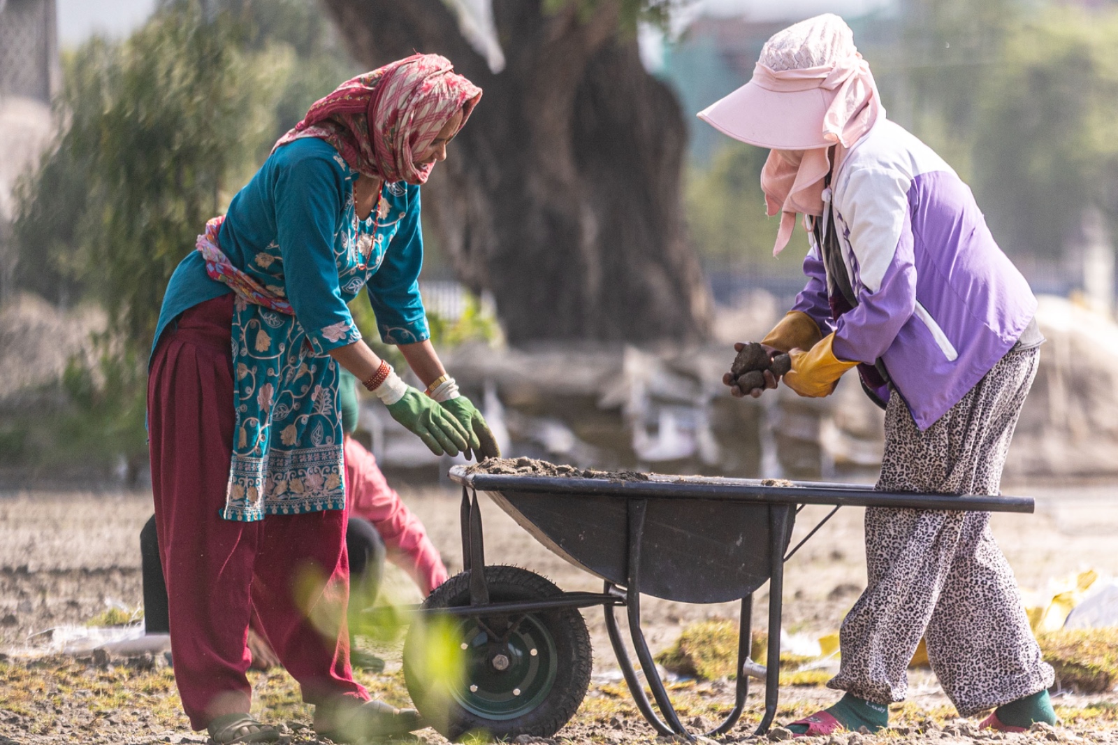 female_worker1-1780290516.jpg