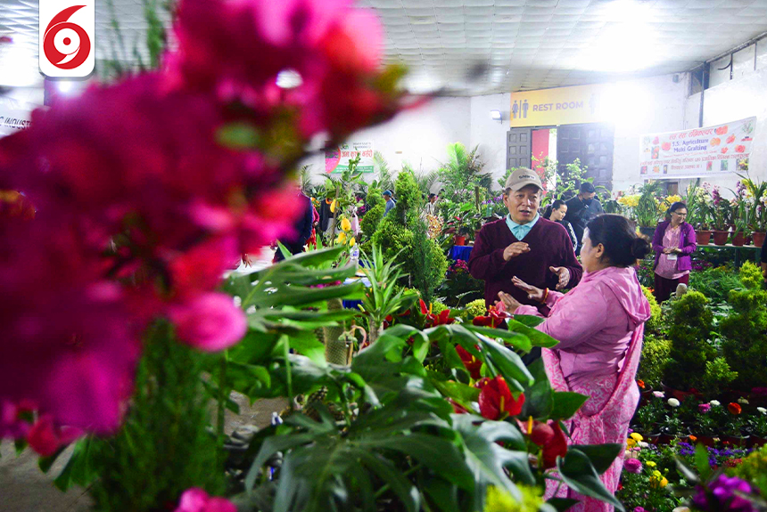 flowers_sidhakura_10-1744287311.jpg