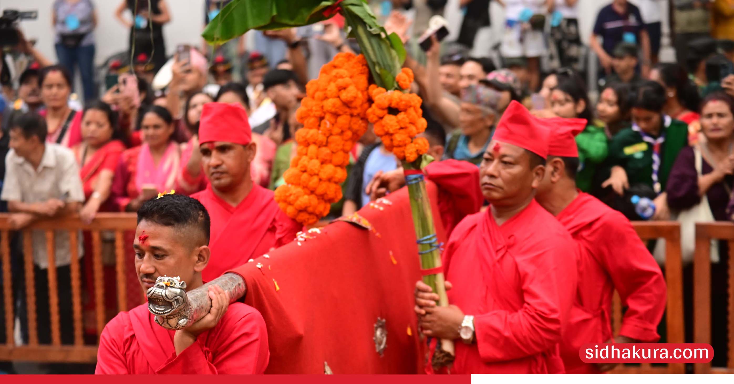 आश्विन शुक्ल सप्तमीः पूजा कोठा एवं दसैँ घरमा भित्र्याइयो फूलपाती