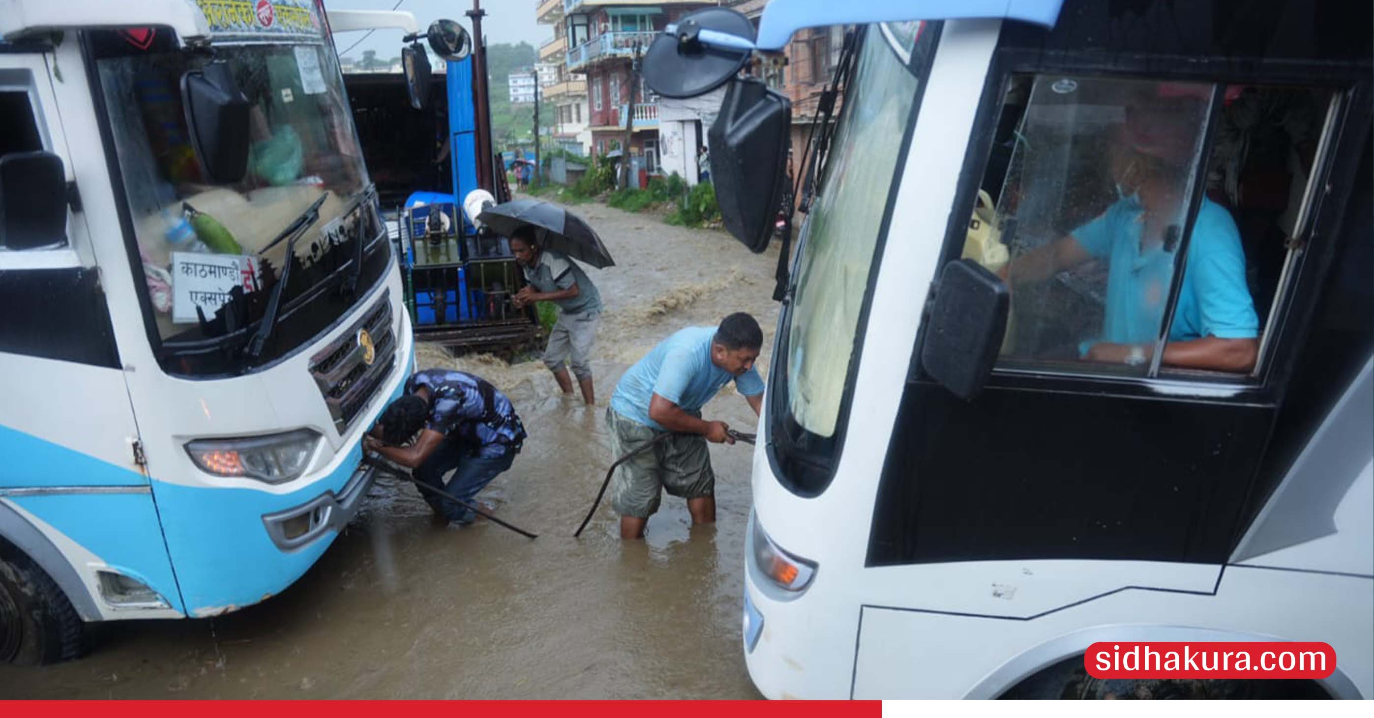 gadiduban2-1756294641.jpg