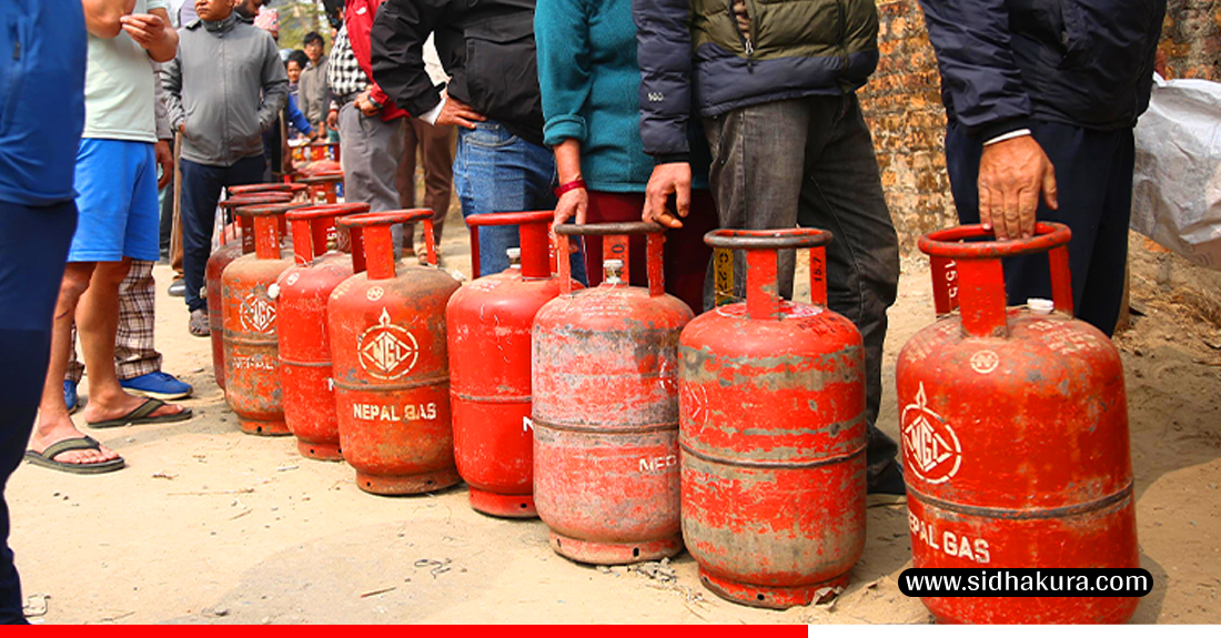 आधा सिलिन्डर ग्यास बिक्री सुरु गर्दै निगमले भन्यो, ‘यो कृत्रिम अभाव हो, आपूर्तिमा समस्या छैन’
