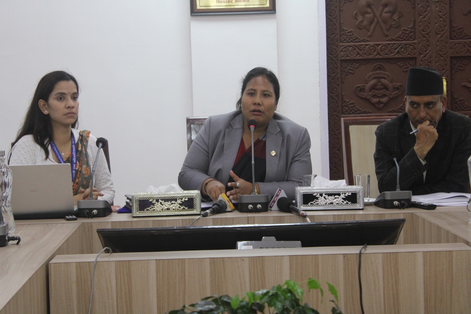भोटेकोशी बाढीबारे विज्ञहरुले वनमन्त्री चौधरीलाई के सुझाव दिए ?
