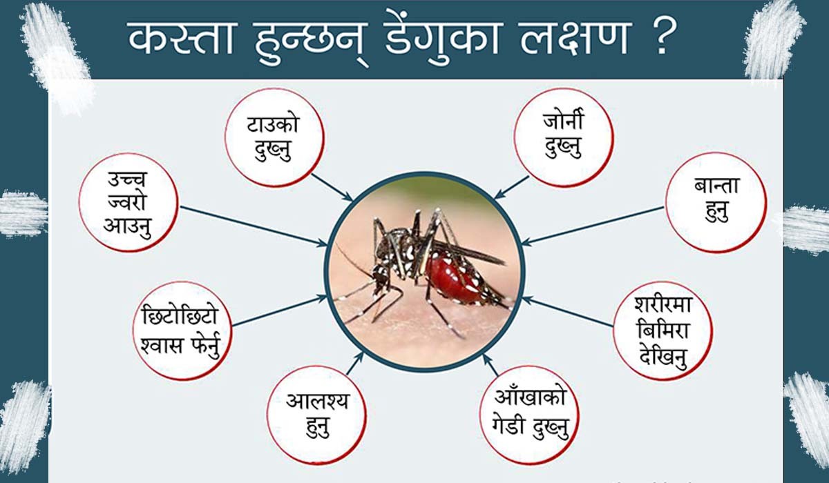 डेङ्गुले लियाे  २८ वर्षीय युवकको ज्यान
