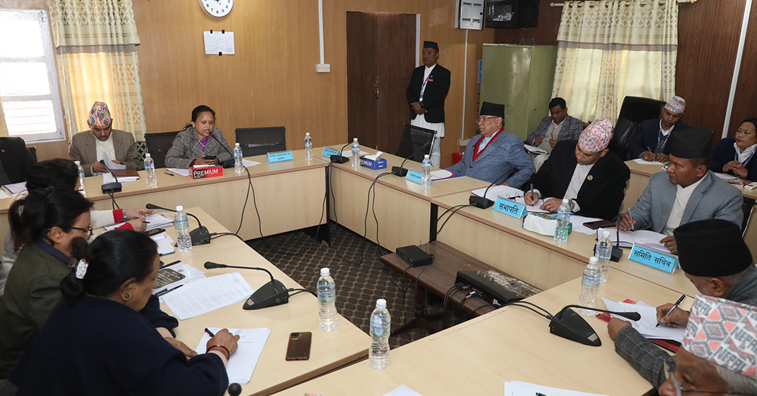 एनसेलको शेयर कारोबारमा रोक लगाउन संसदीय समितिको निर्देशन