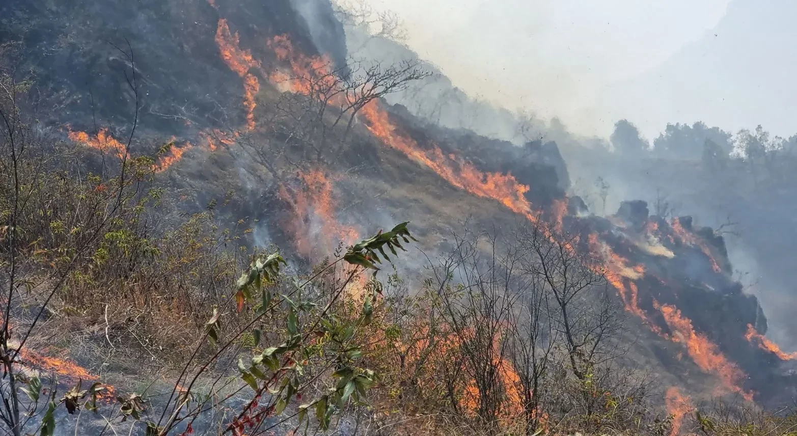 डोल्पा डढेलोमा घाइते बालकको मृत्यु