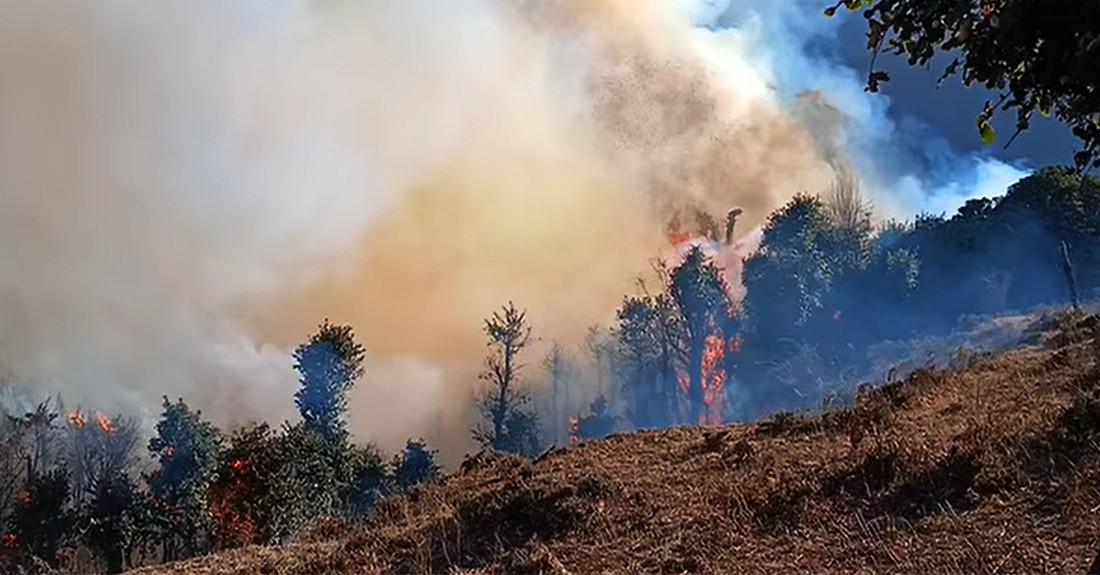 सिंवाद्वारमा हिजोदेखि लागेको आगो नियन्त्रणमा आएन, १ सय बढी भेडीगोठ जोखिममा