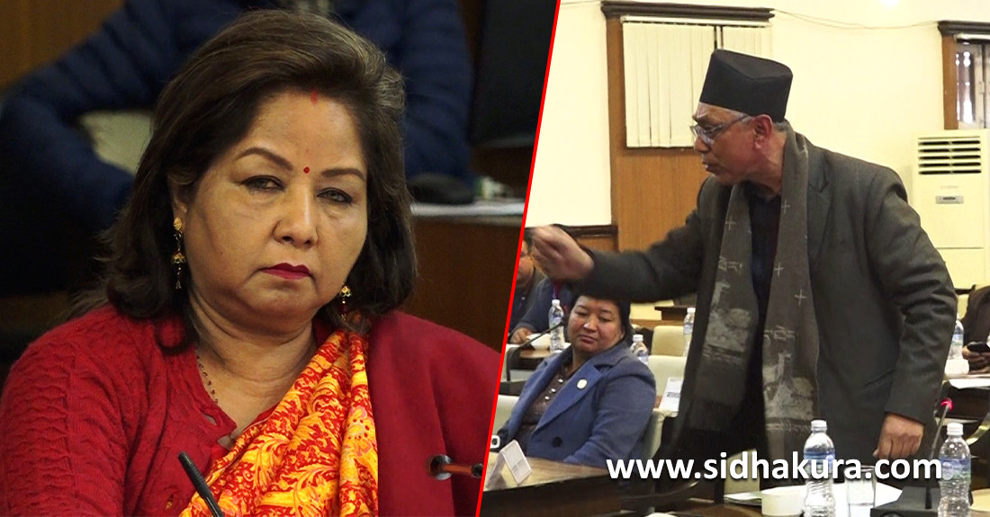 समिति बैठकमा प्रेम सुवालले आरजुलाई भने ‘बीपी कोइरालाको प्रतिष्ठान नै बेच्नुभयो ' (भिडियो सहित)