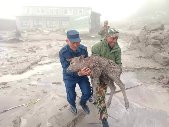 बाढी आएको २० घण्टापछि मन्त्रीसहितको टोली बाढी प्रभावित खुम्बु क्षेत्रमा