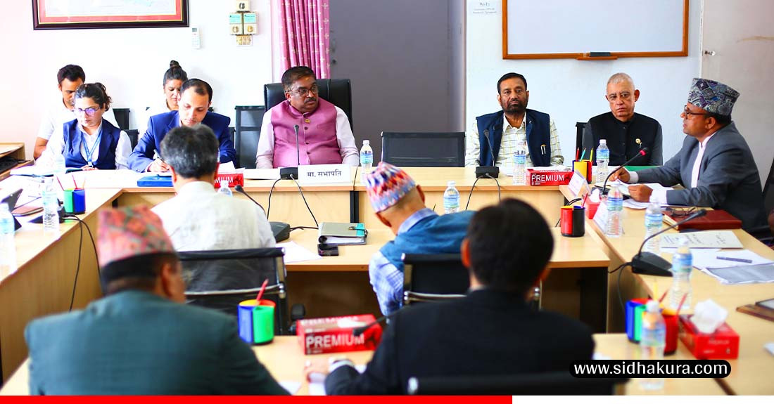 नेपालको हवाइक्षेत्र इयुको कालोसूचीबाट हटाउन भएका तयारीबारे जानकारी गराउन निर्देशन