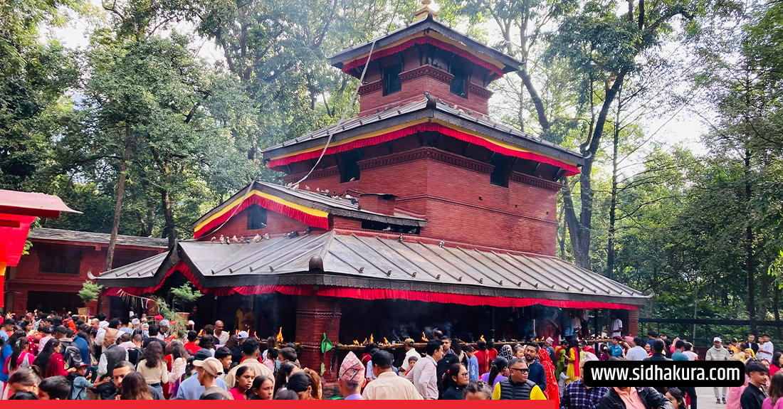 आज एकैदिन  अष्टमी र नवमी ,   सिद्धिदात्री देवीको पूजाआराधना गरिँदै