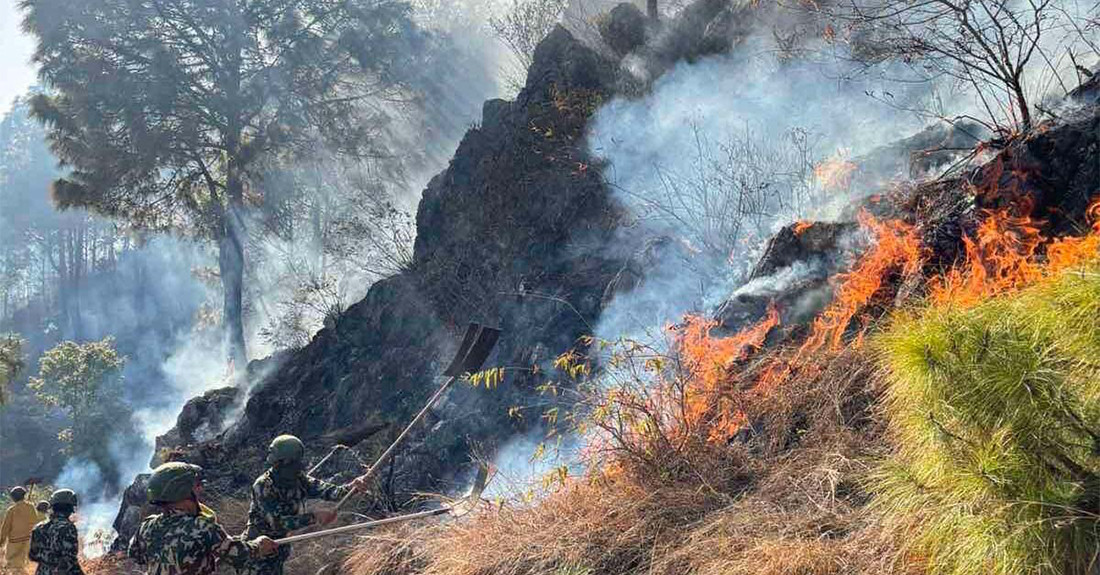 पाल्पामा लागेको डढेलोले चार सामुदायिक वनमा क्षति