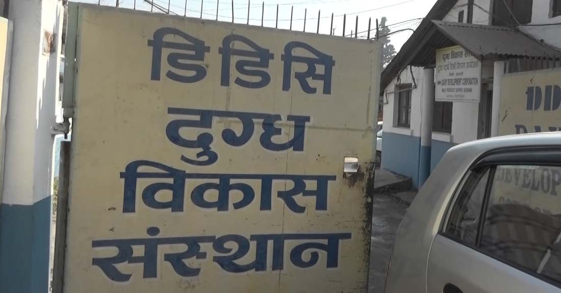 डीडीसीको सूचनाः ‘केहीदिन लेबल नलेखी दुधका प्याकेट बजारमा आउन सक्छन्’