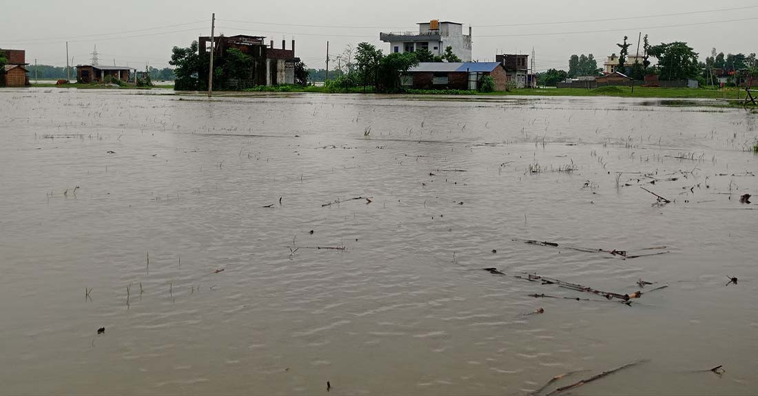 झापामा विपद्जन्य घटनाबाट चार जनाको मृत्यु