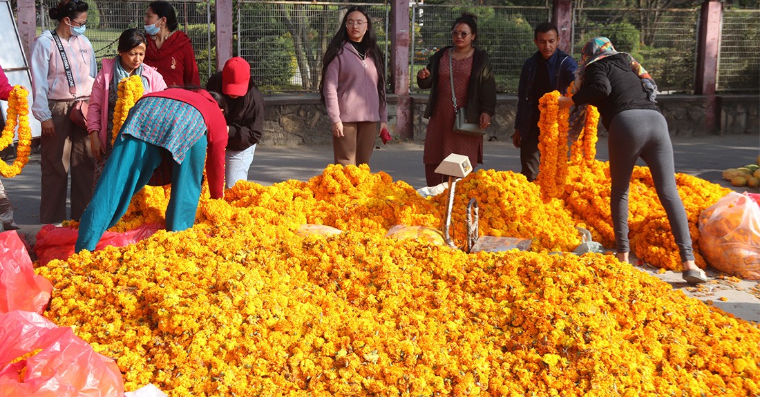 तिहारमा फूलको कारोबार कम भएपछि व्यवसायी चिन्तित