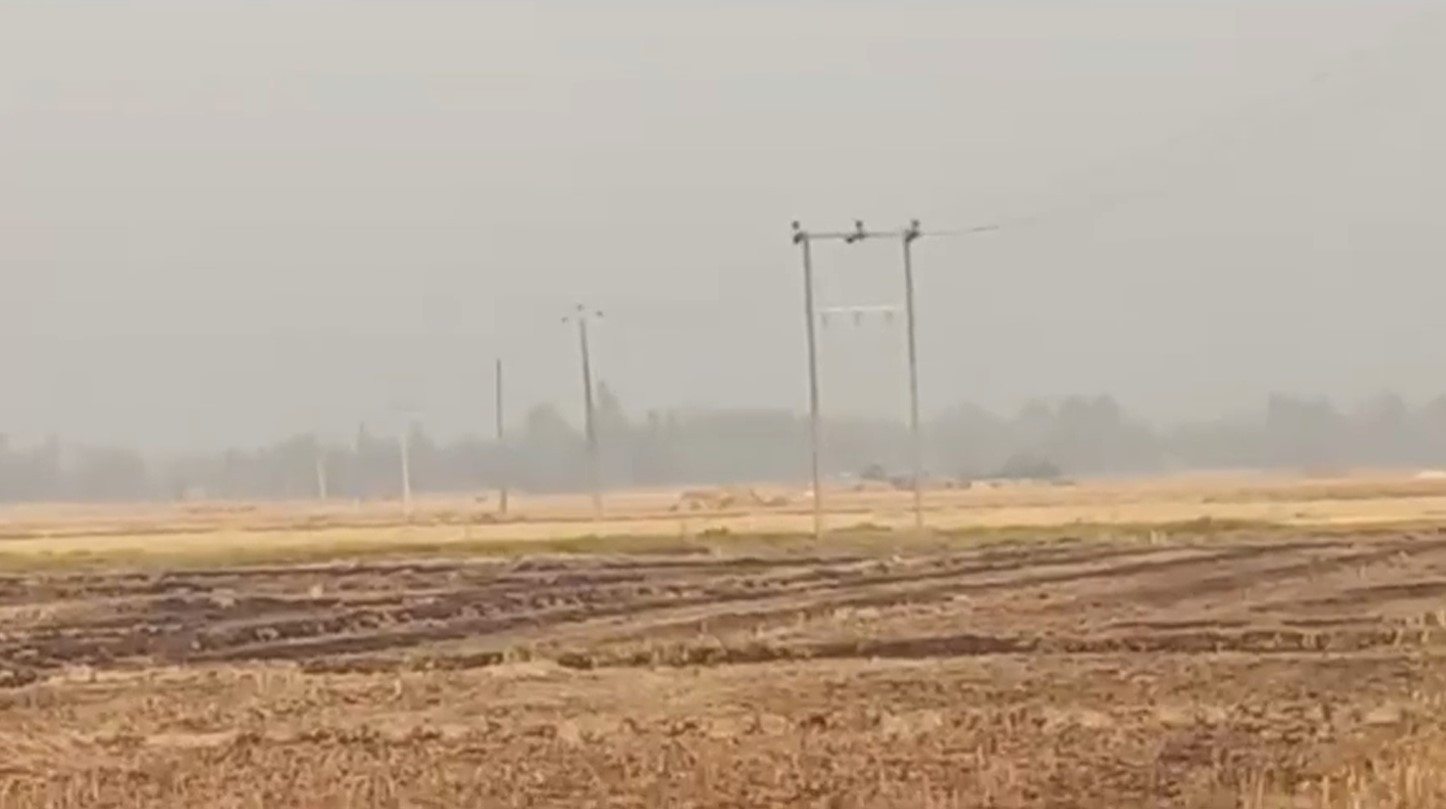 आगलागी हुँदा सात बिघा जमिनको गहुँबाली नष्ट