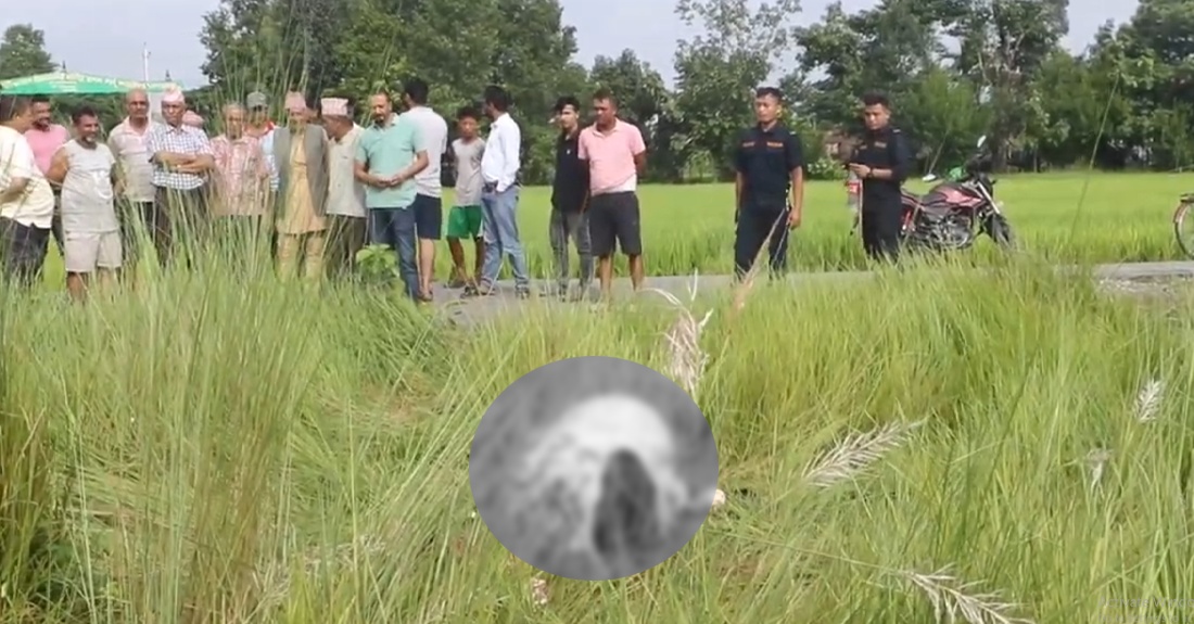 दमकमा गोठको गाई चोरेर हत्या