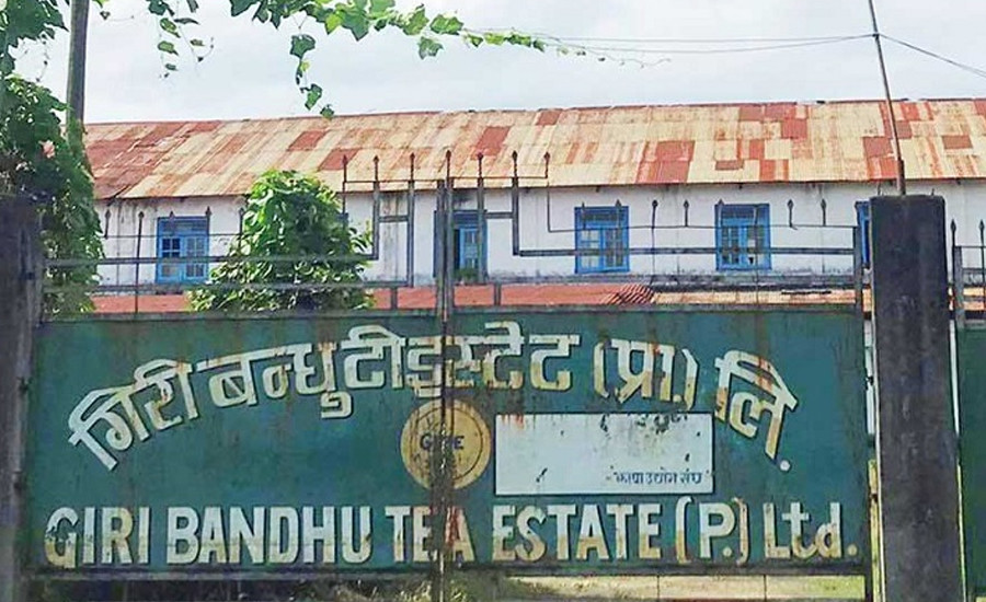 गिरीबन्धु टी स्टेटको जग्गा सट्टापट्टा गर्न दिने सरकारको निर्णय बदर