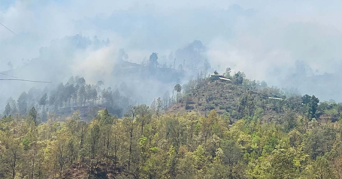 गुल्मीमा वनबाट सल्केको डढेलो बस्तीमा पस्दा करोडौँको क्षति, ६७ भन्दा बढी घरगोठ जले