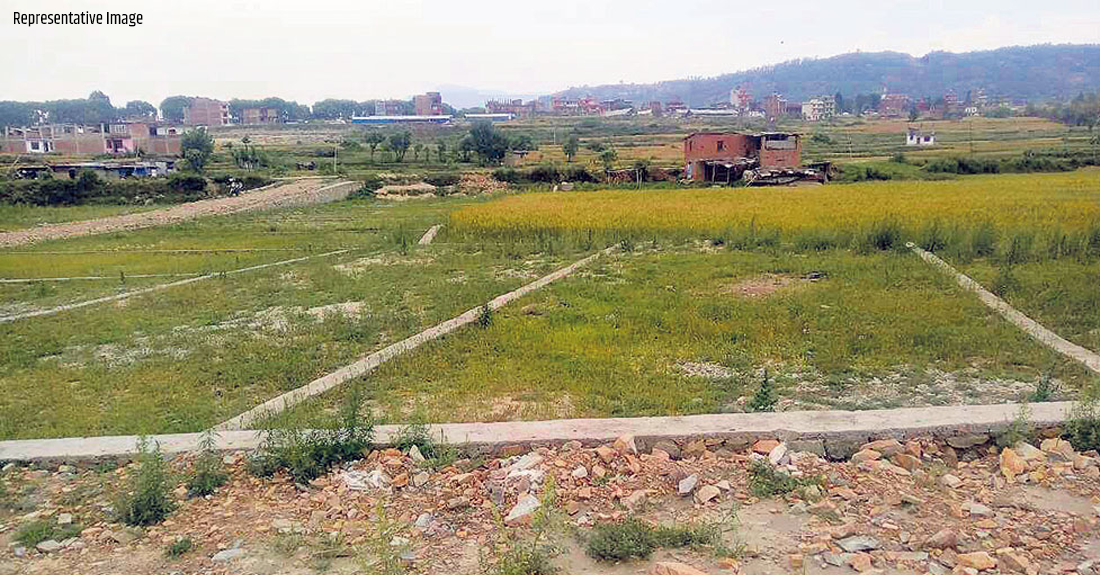 झापाकाे सरकारी कृषि फार्मको जग्गा दुई दशकदेखि अतिक्रमणमा