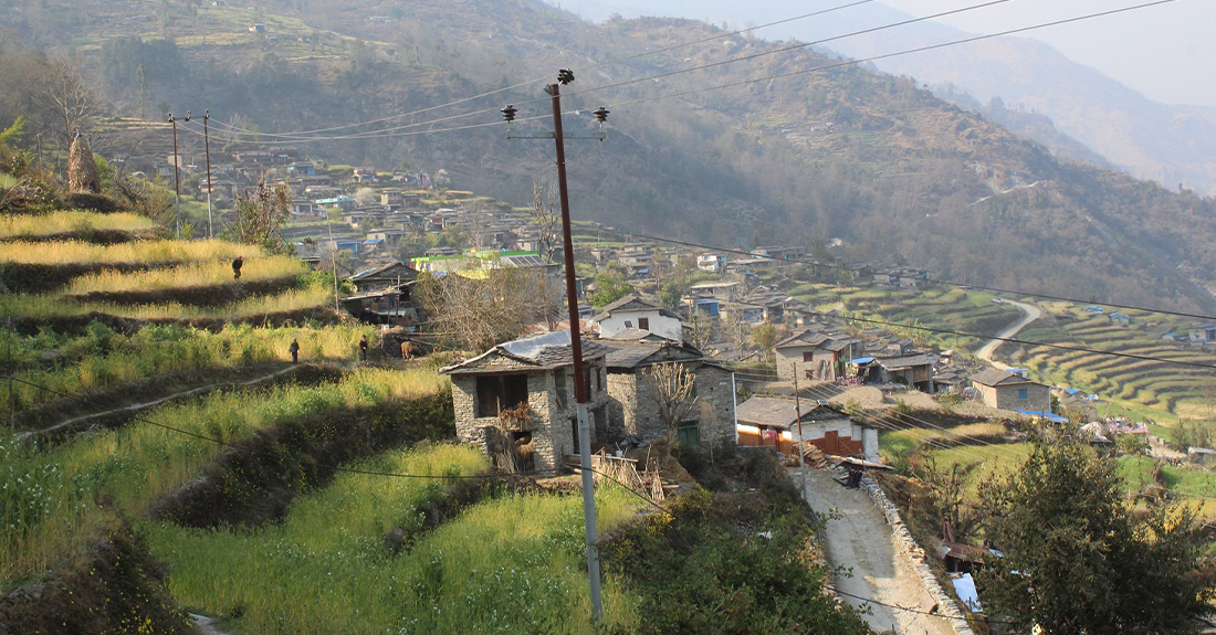 म्याग्दीमा परम्परागत जौँ र उवाको व्यावसायिक खेती
