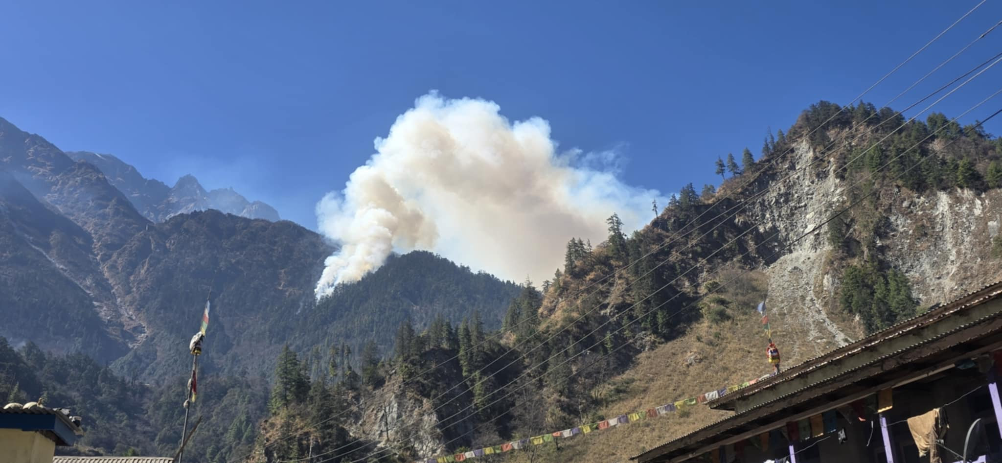 तिमाङको जङ्गलमा लागेको आगो अझै निभाउन सकिएन