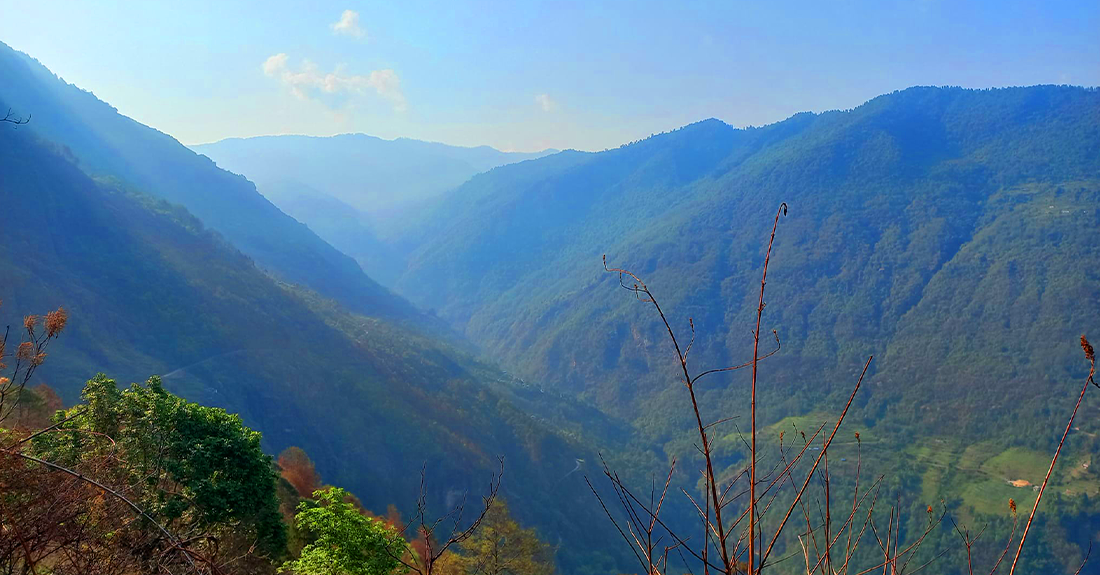 डढेलोको असरः देखिन छाडे जङ्गलमा जनावर
