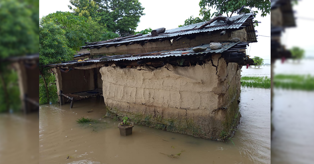 बाढीका कारण कैलालीकाे भजनी नगरपालिकाका अधिकांश क्षेत्र डुबानमा