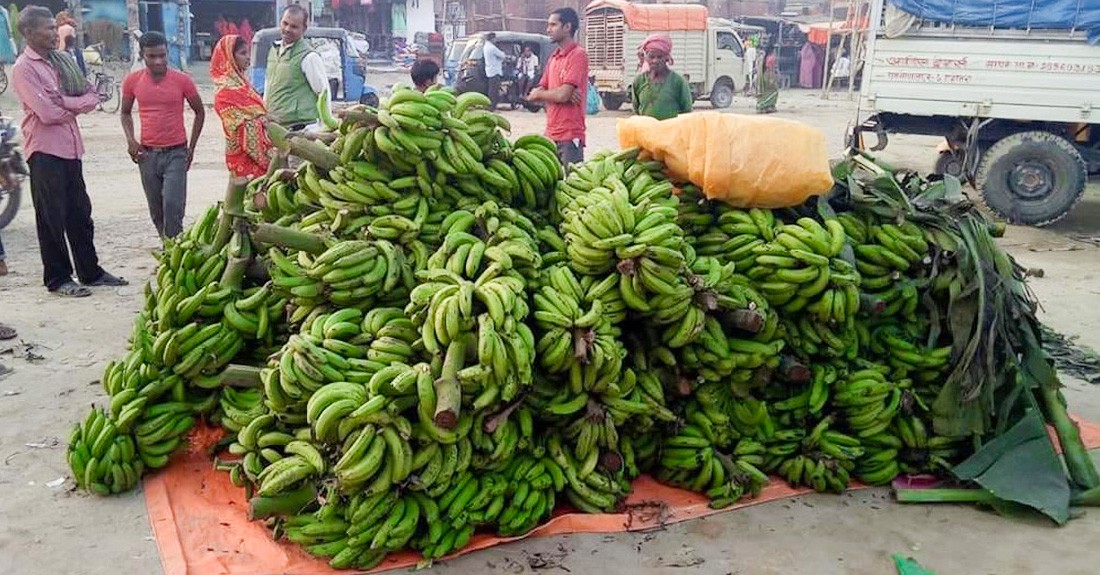 जनकपुरधाममा छठका लागि पाँच करोड बराबरको केरा आयात