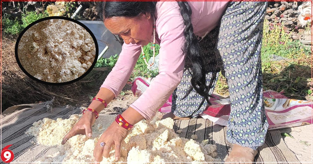हुम्लामा खाद्य शाखाले स्थानीयलाई बेच्यो कुहिएको चामल