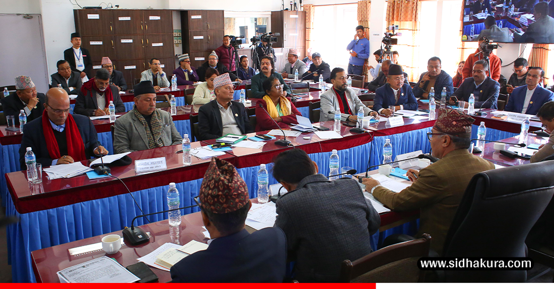सिमेन्टमा भएको मूल्यवृद्धि तत्काल नियन्त्रण गर्न लेखा समितिकाे सरकारलाई निर्देशन