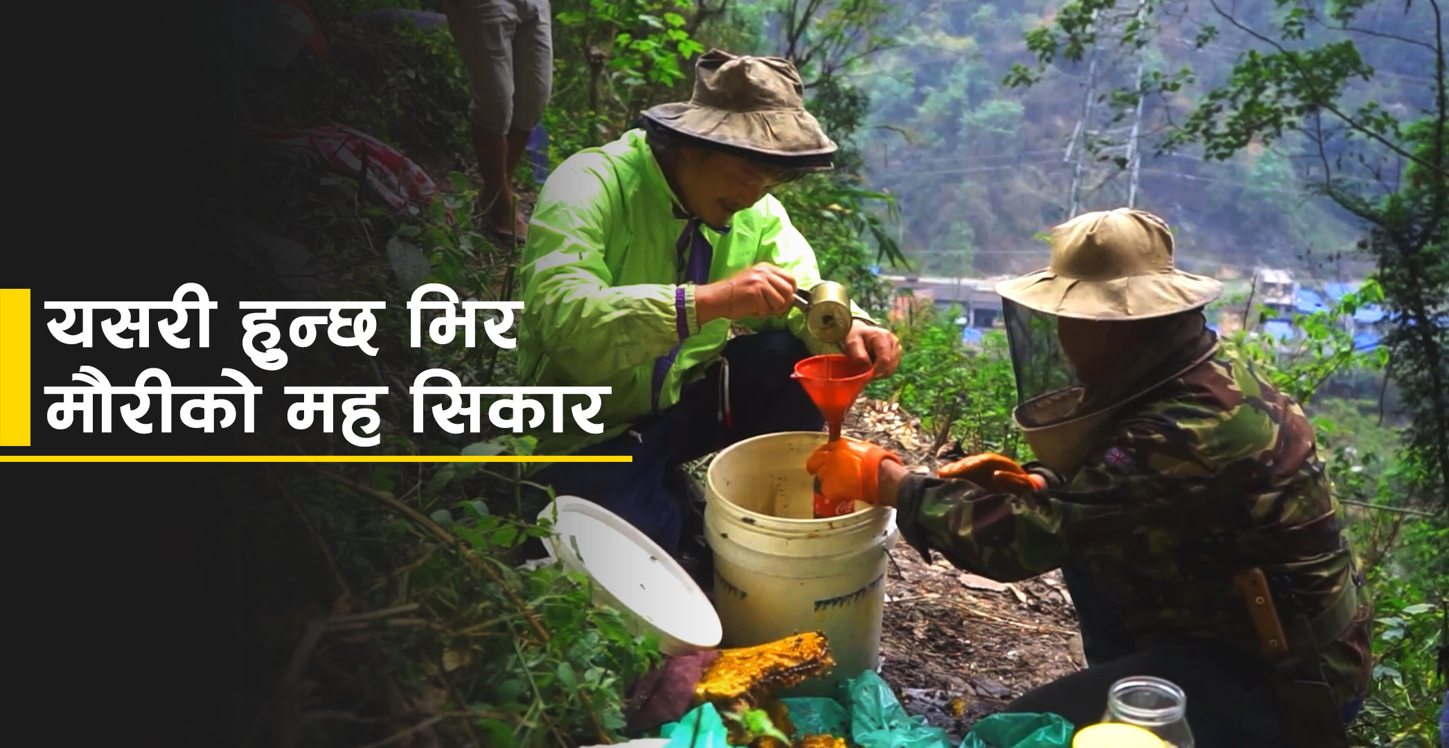 यसरी हुन्छ भिर मौरीको मह सिकार (भिडियाे)