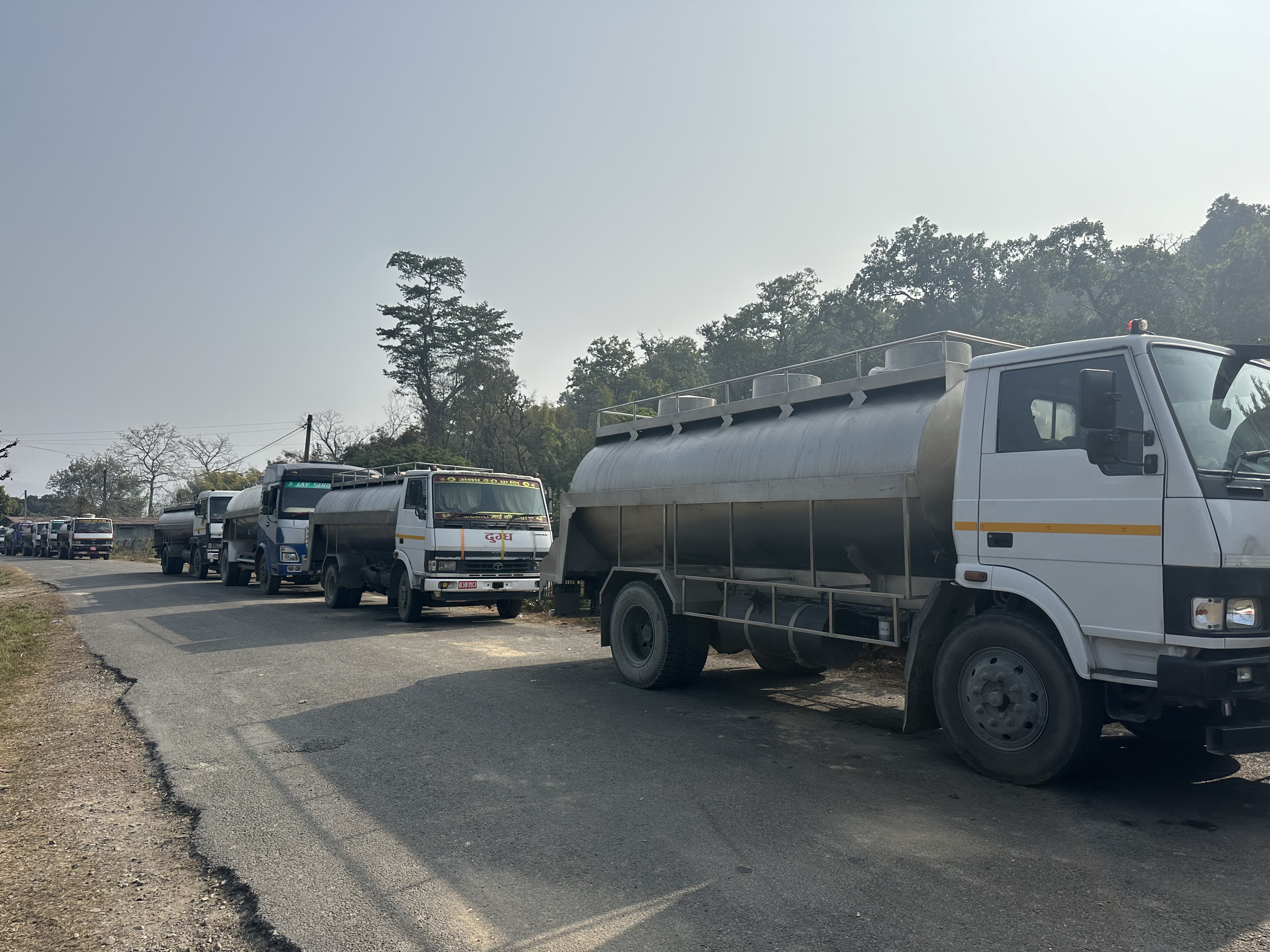 भारतीय आयातको असरः सरकारले तोकेको मूल्य पाउँदैनन् नेपाली दुध उत्पादक किसान