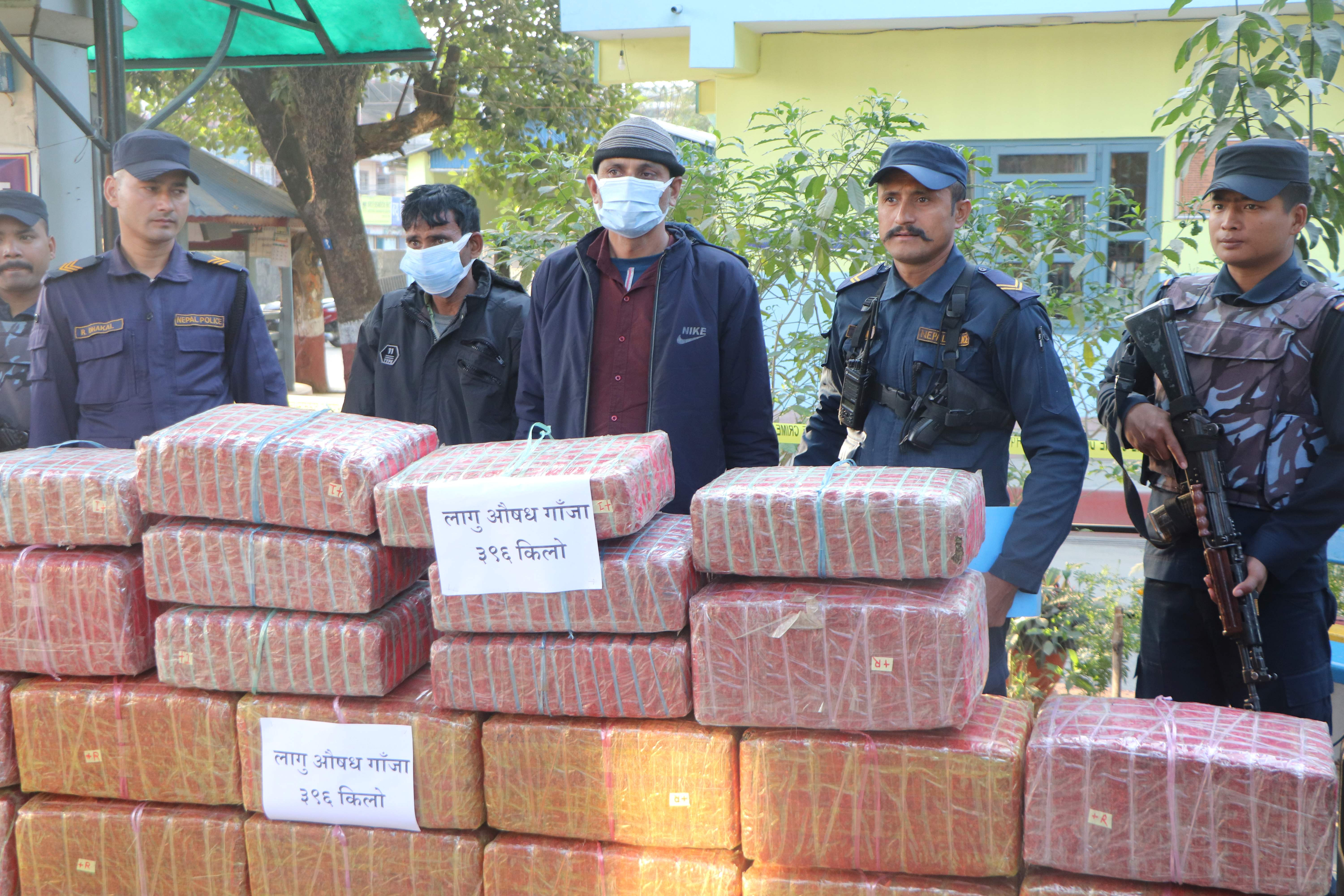 चार सय किलाे गाँजासहित दुई भारतीय पक्राउ