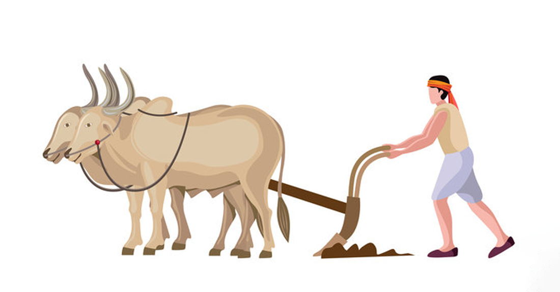 हलिया मुक्तिका सोह्र वर्ष : अवस्था अझै बदलिएन