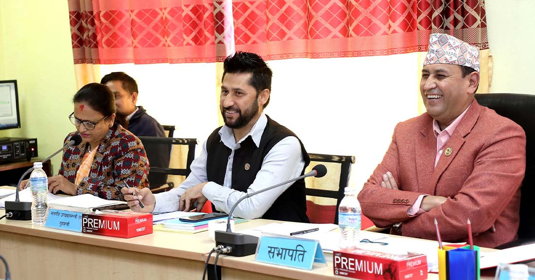 संवैधानिक परिषदमा गणपुरक संख्याको बिषयमा स्पष्ट व्यवस्था हुनुपर्छ : रवि लामिछाने