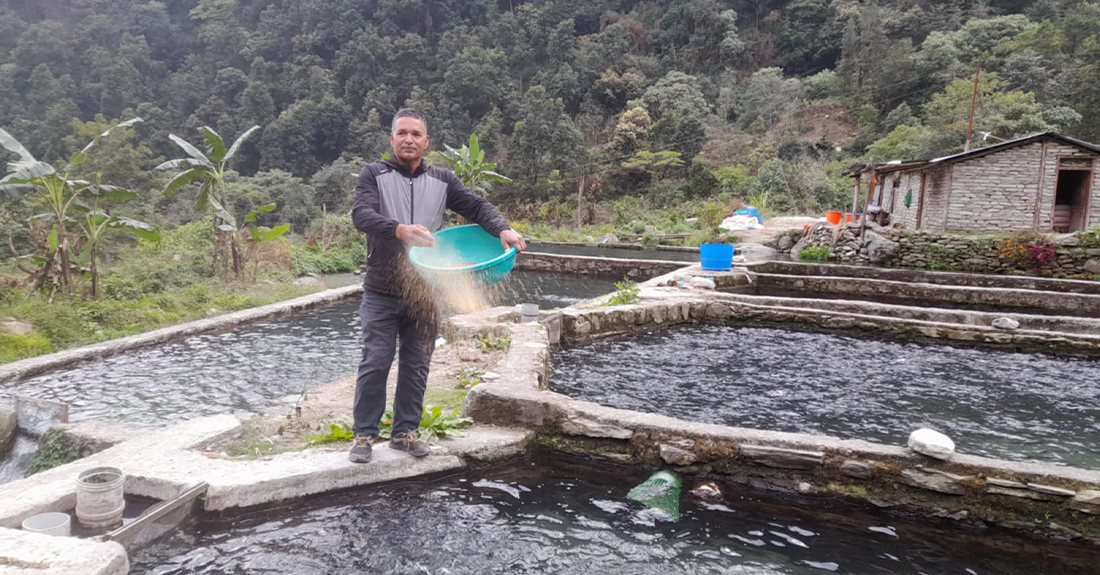 रेन्बो ट्राउट माछा बेचेर वार्षिक तीन करोड आम्दानी