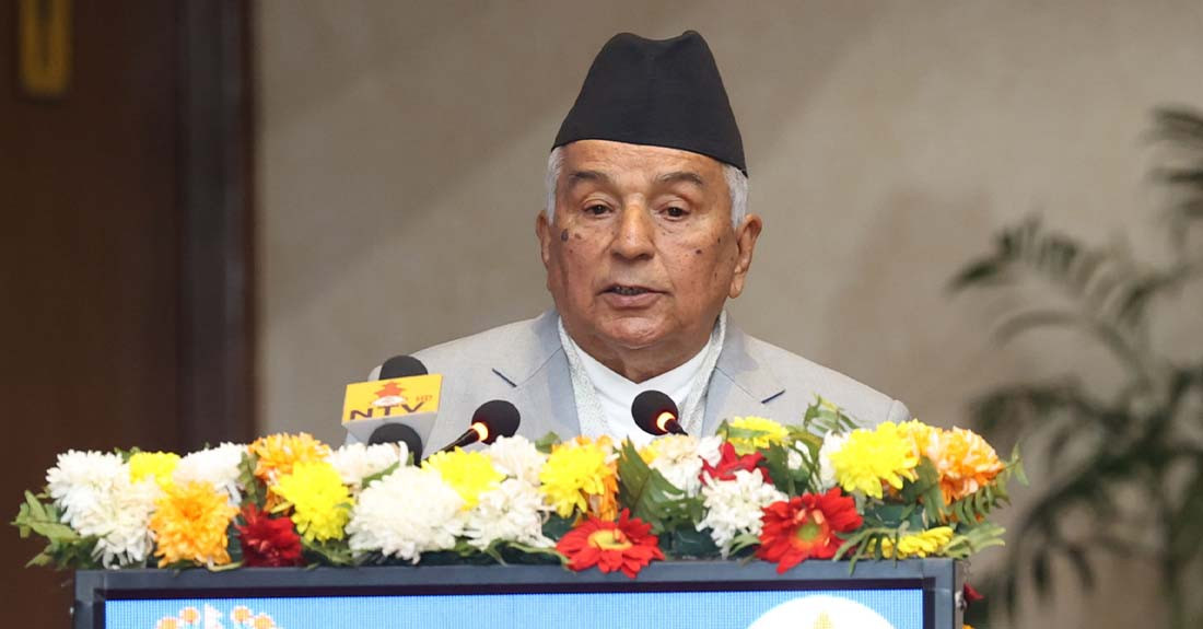 राष्ट्रपति पौडेल र जर्मनीका राष्ट्रपति स्टीनमेयरबीच औपचारिक भेटवार्ता हुँदै