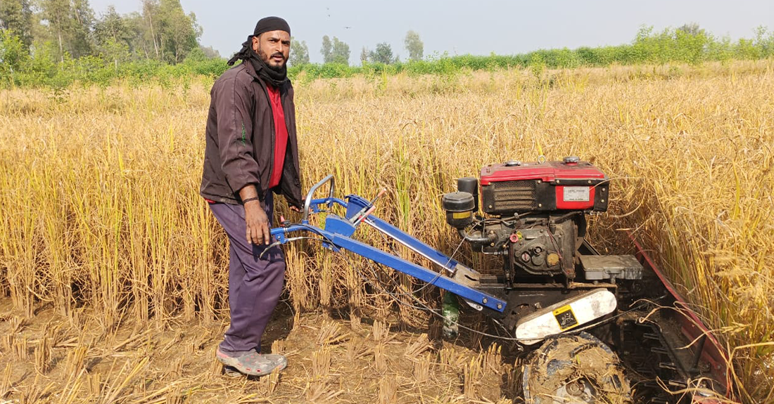 धान काट्न मजदुरको सट्टा रिपर मेसिन, ३ दिन लाग्ने धान १ घण्टामै काट्छ !
