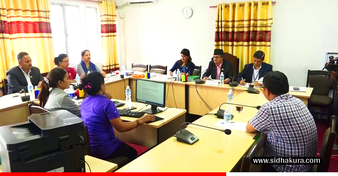 सहकारी छानबिन समितिले लियाे सुमेरु बचत तथा ऋण सहकारी संस्थाका प्रतिनिधिसँग बयान